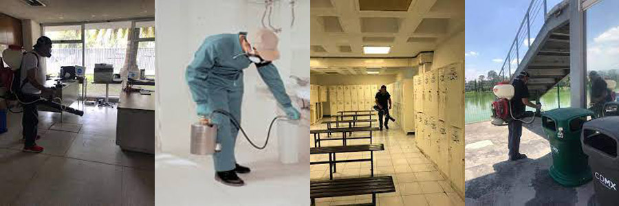 Taquizas a Domicilio